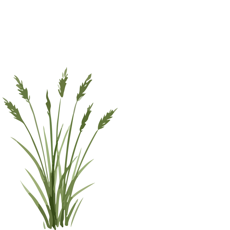 Lakeview Playground & Pavilion