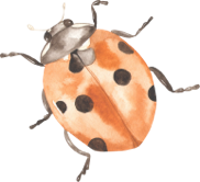 Lakeview in Waller, TX | Discover The Lifestyle